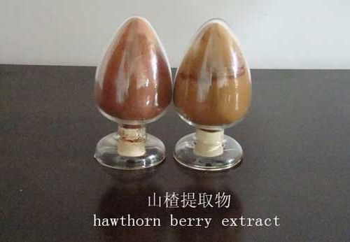 Hawthorn extract