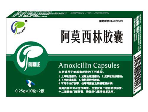 Amoxicillin capsule